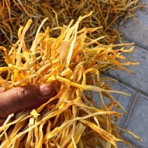 【火爆热卖中】湖南新货祁东产区保鲜黄花菜全年有货