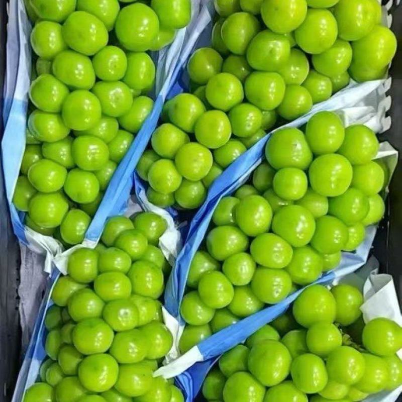 阳光玫瑰葡萄