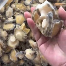 B级黑边鲍鱼肉