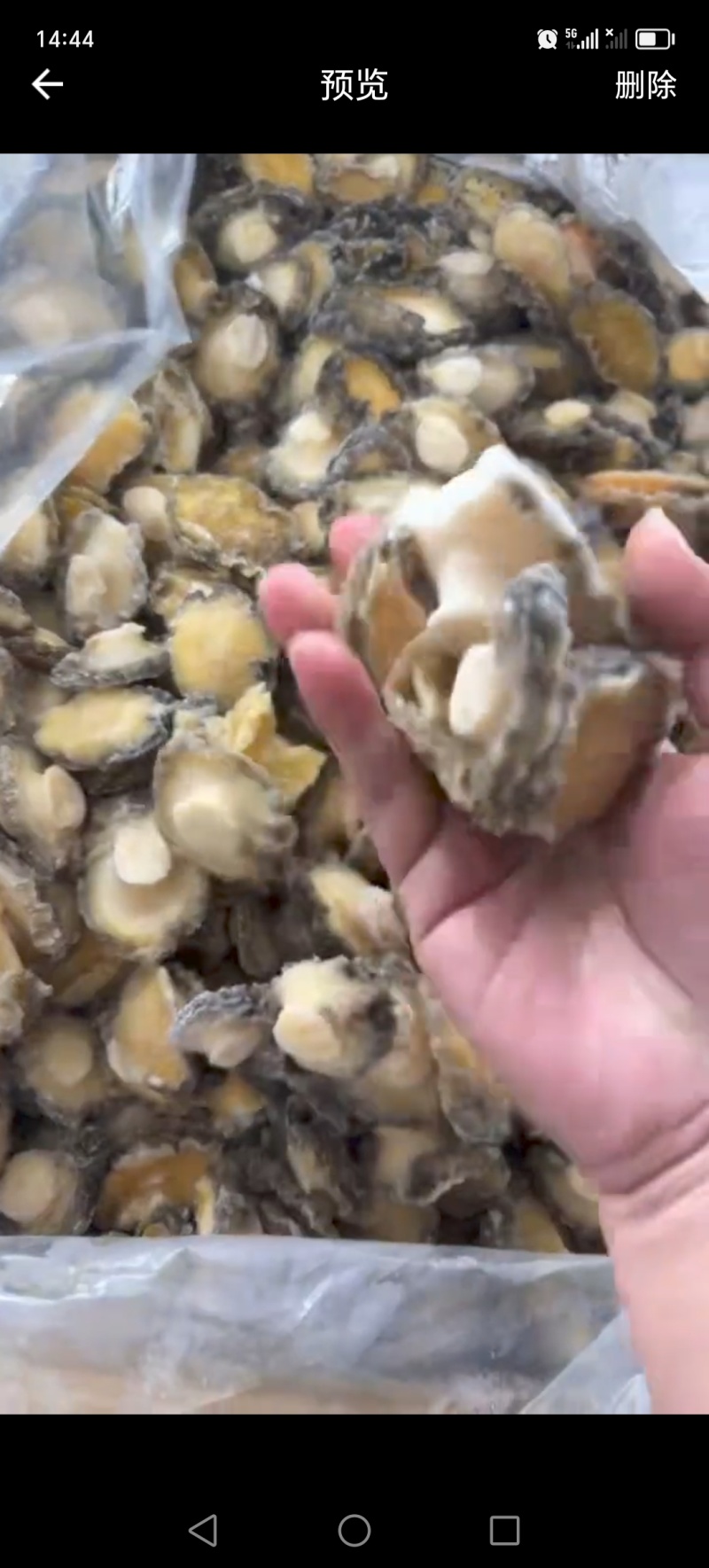 B级黑边鲍鱼肉