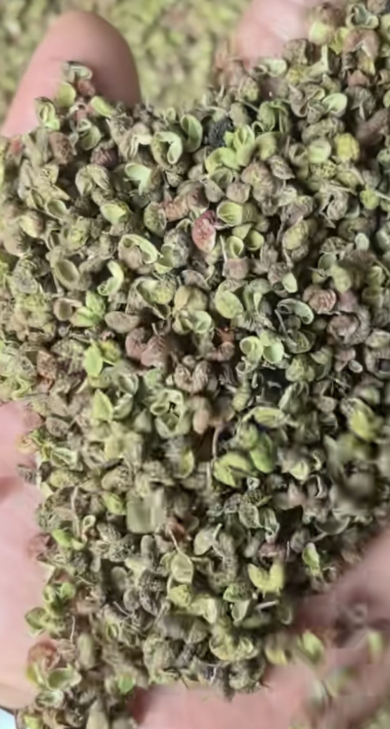 花椒