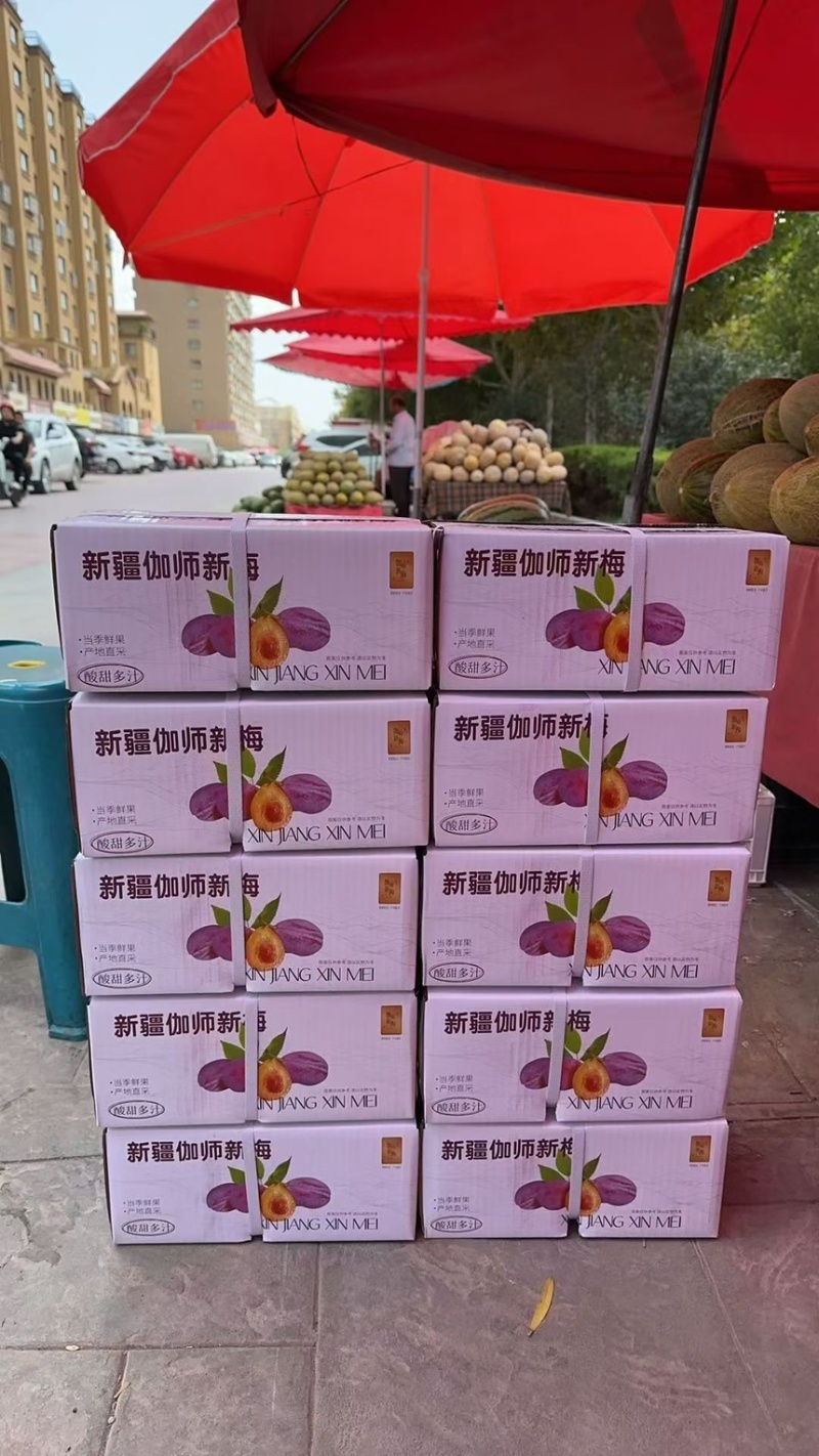喀什地产直供-伽师法兰西西梅鲜果大宗批发