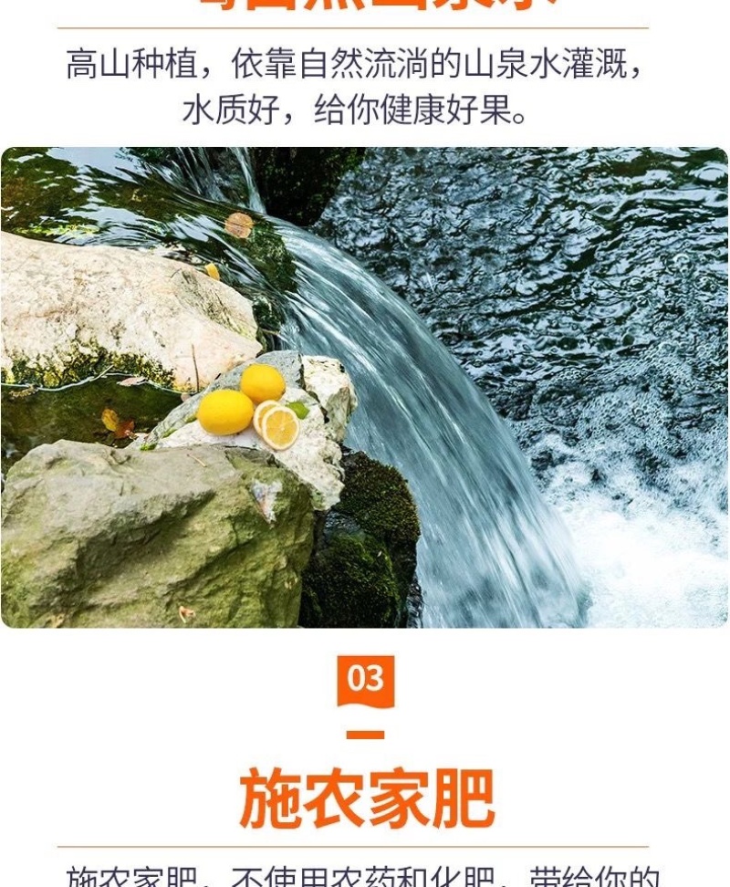 批发四川安岳柠檬鲜果一级新鲜水果产地直发商**黄柠檬一件代发