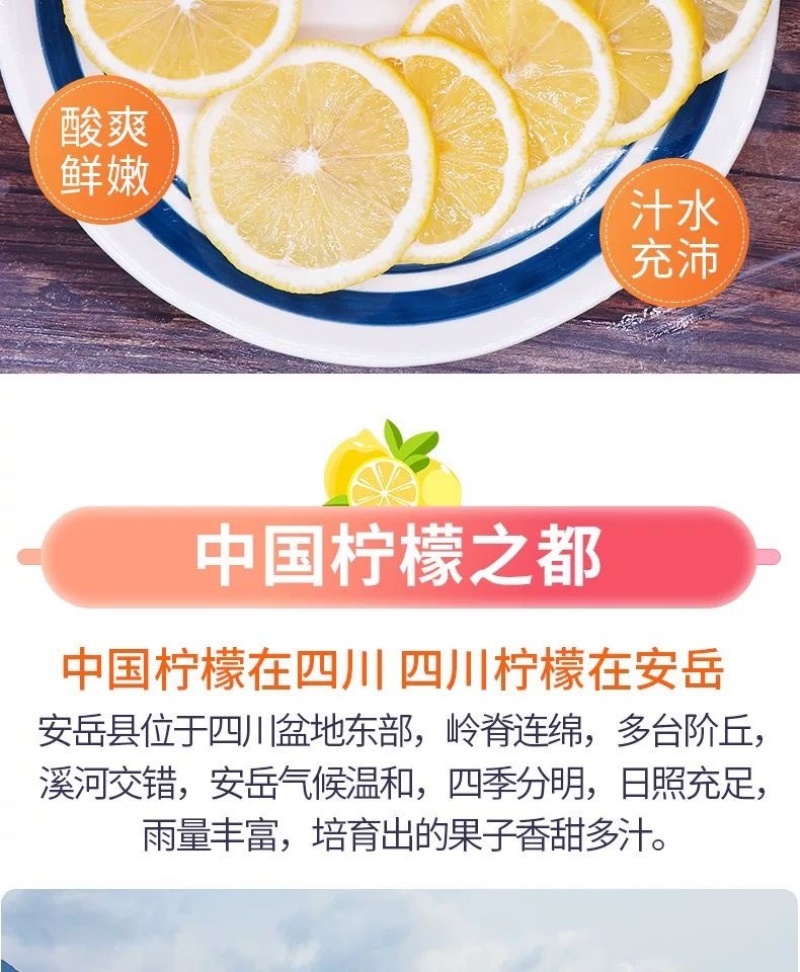 批发四川安岳柠檬鲜果一级新鲜水果产地直发商**黄柠檬一件代发