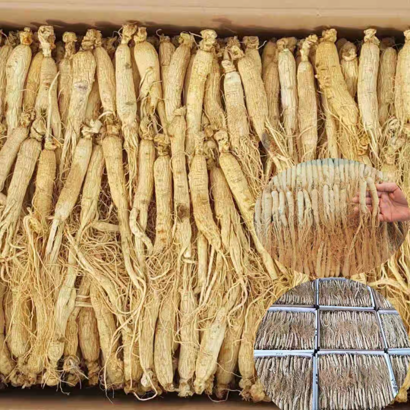 真空包装长白山小人参干参白参生晒参煲汤泡水泡酒量大优惠