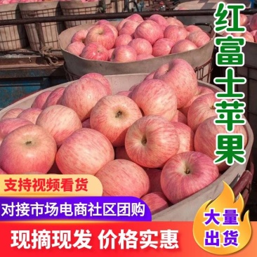 山东红富士苹果(纸袋膜袋纸加膜)常年批发/全国发货