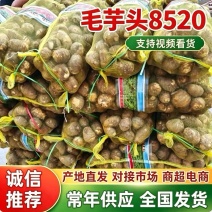 芋头8520毛芋头/豆包/牛奶芋头（电商货/市场货/商超）