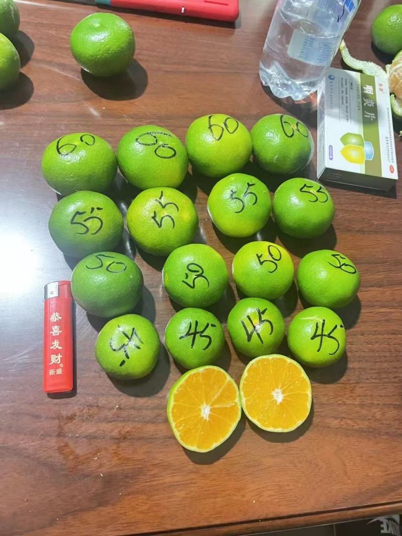 云南精品特早蜜橘大量上市品质保证量大从优欢迎联系