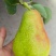 精品香蕉梨
