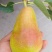 精品香蕉梨