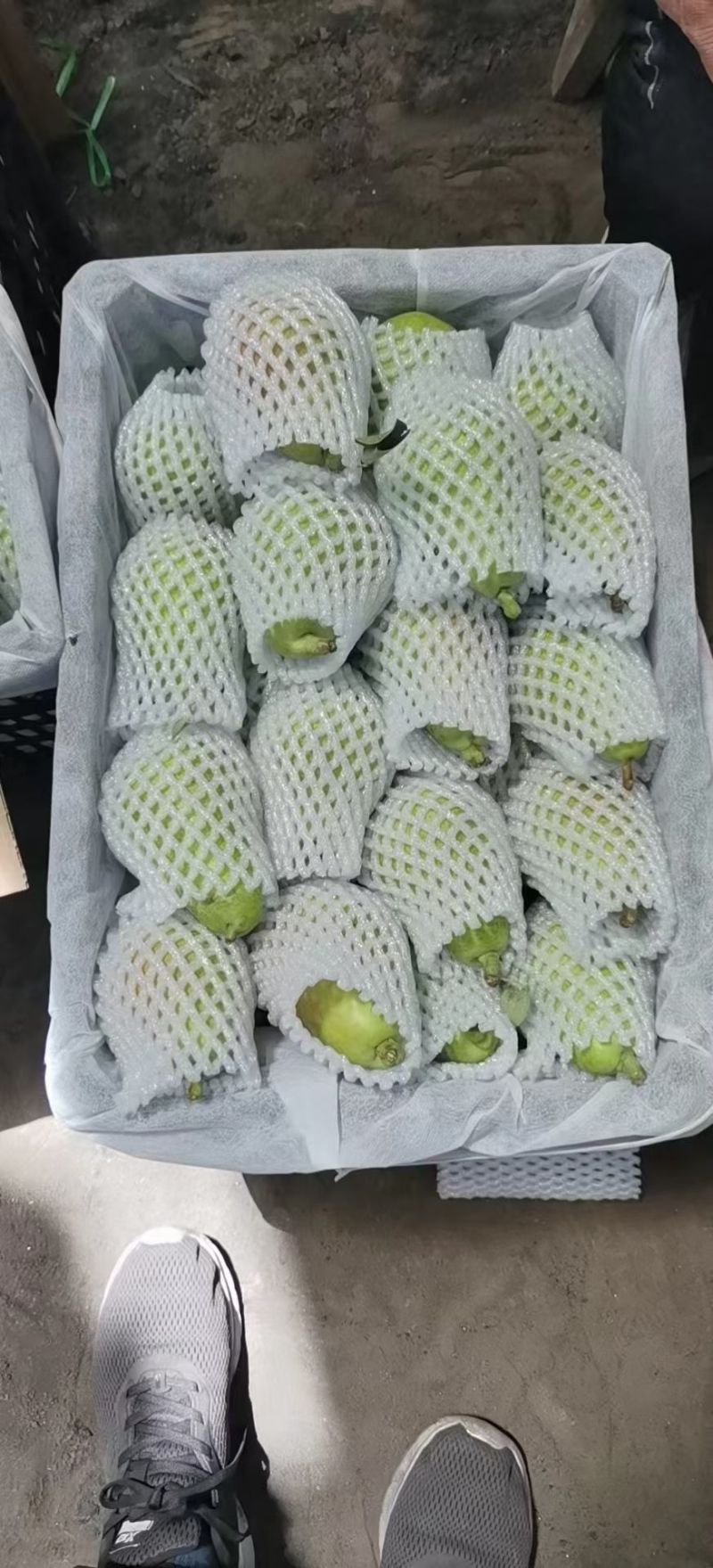 精品香蕉梨