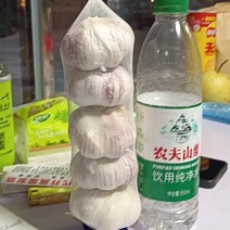 网袋串串蒜