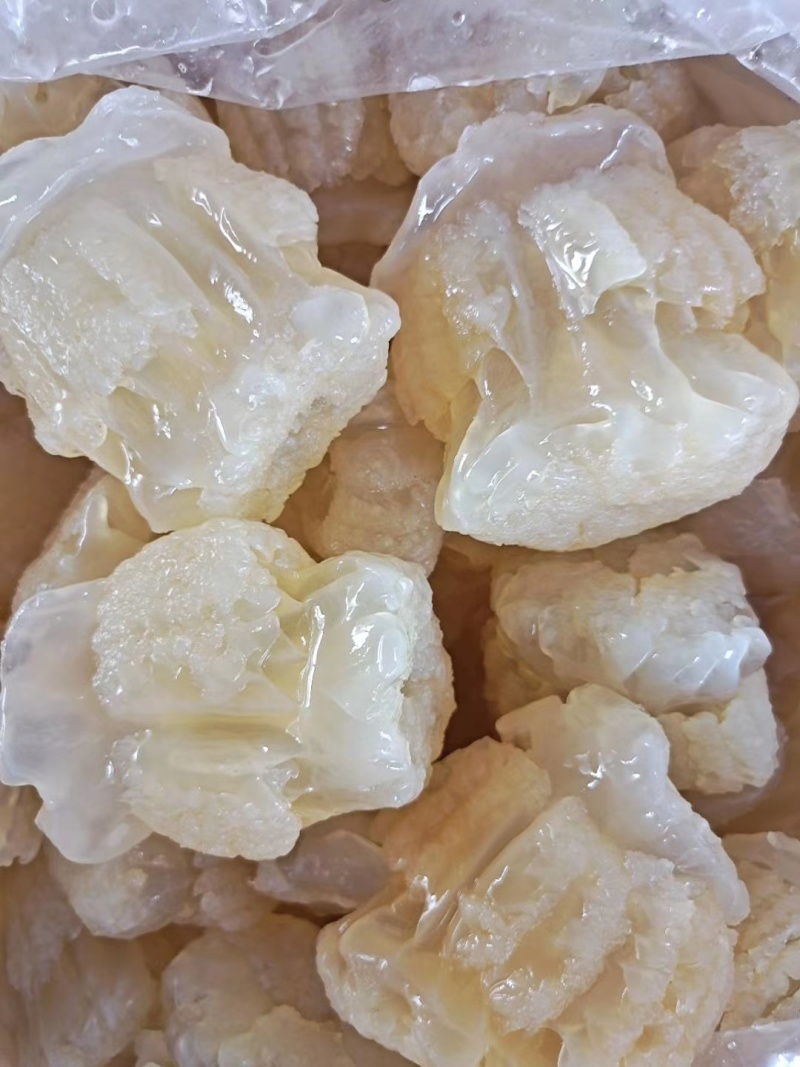 海蜇头菊花头墨西哥海蜇头