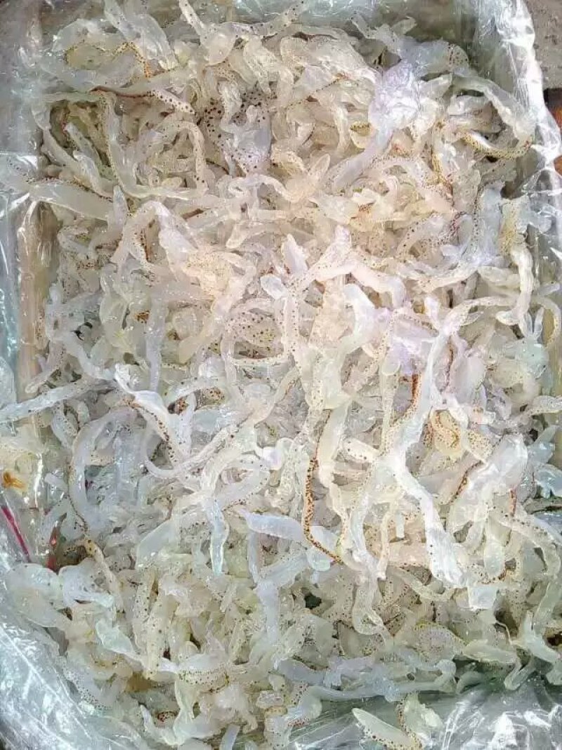 海蜇丝白花丝海蜇