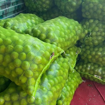 青皮核桃
