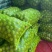 青皮核桃