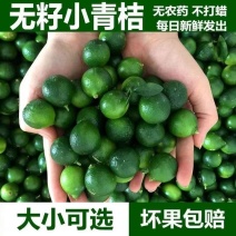海南青金桔小青桔现发小青柠小青柑青皮