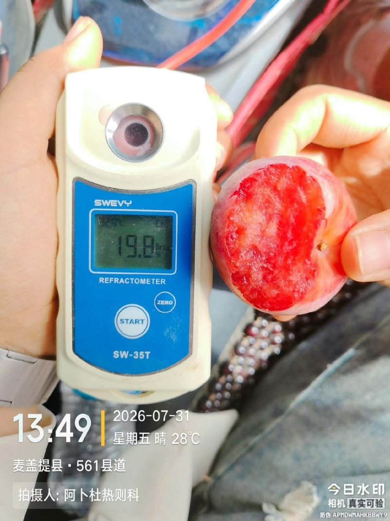 恐龙蛋｜新疆喀什地区麦盖提县特产恐龙蛋