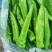 鲜尖椒