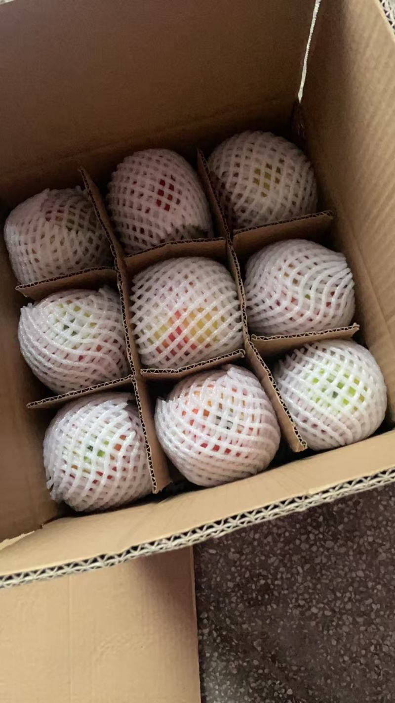 鲁丽苹果脆甜多汁色泽鲜艳硬度高产地直销现摘现发