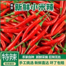 精品小米红尖椒质量好品质有保障适合电商超市市场需要的联系