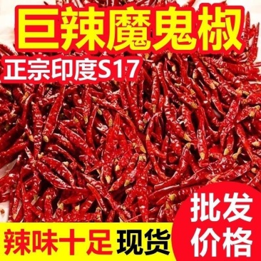湖南辣椒魔鬼椒巨辣特辣变态辣辣椒粉/辣椒段辣椒面印度辣椒