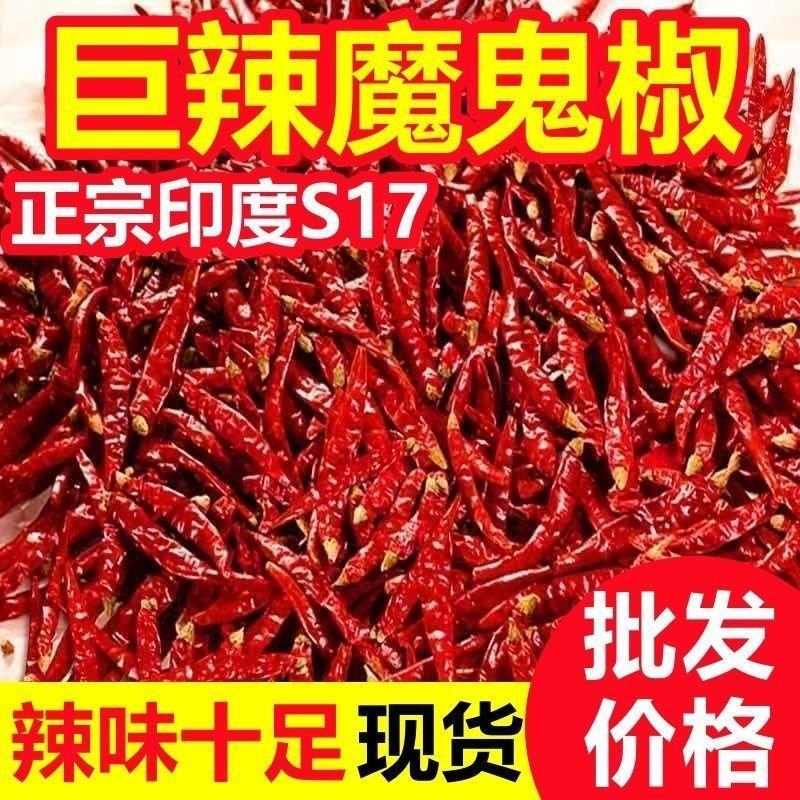 湖南辣椒魔鬼椒巨辣特辣变态辣辣椒粉/辣椒段辣椒面印度辣椒