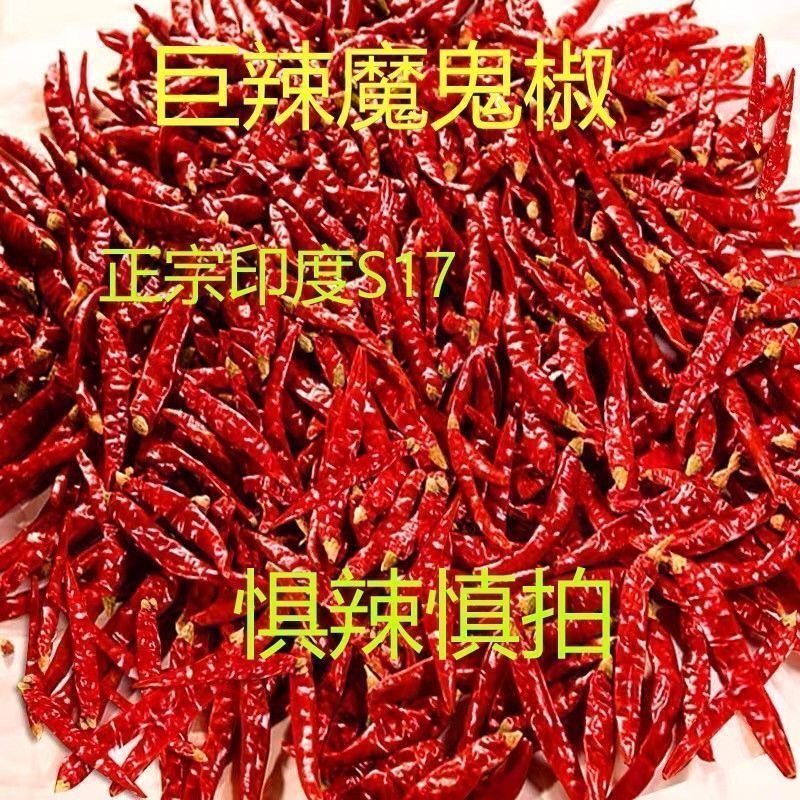 湖南辣椒魔鬼椒巨辣特辣变态辣辣椒粉/辣椒段辣椒面印度辣椒