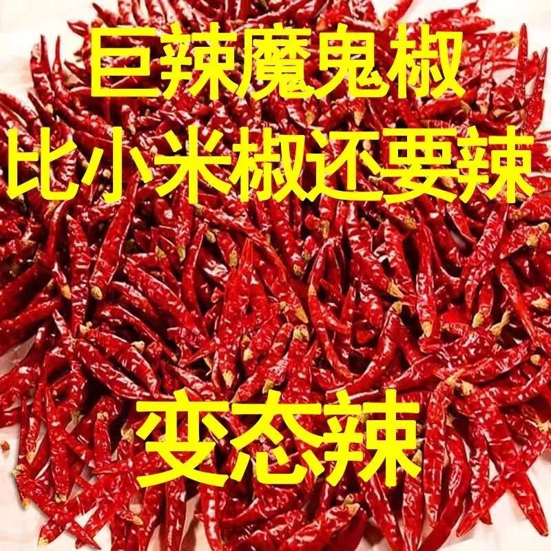 湖南辣椒魔鬼椒巨辣特辣变态辣辣椒粉/辣椒段辣椒面印度辣椒