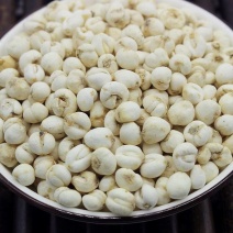 川贝正宗贝母四川批发无硫雪梨膏枇杷膏川贝母非松母特