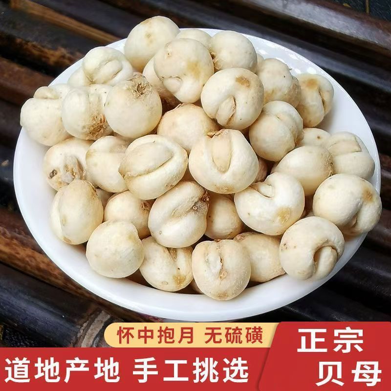 川贝正宗贝母四川批发无硫雪梨膏枇杷膏川贝母非松母特
