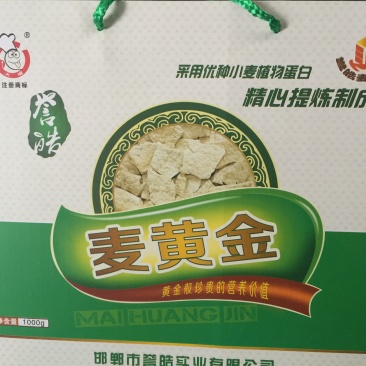 面筋