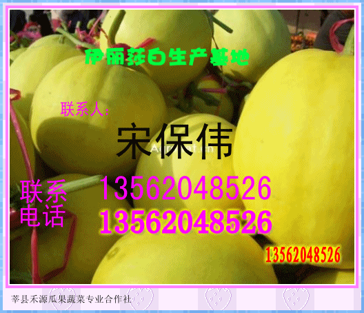 伊丽莎白甜瓜