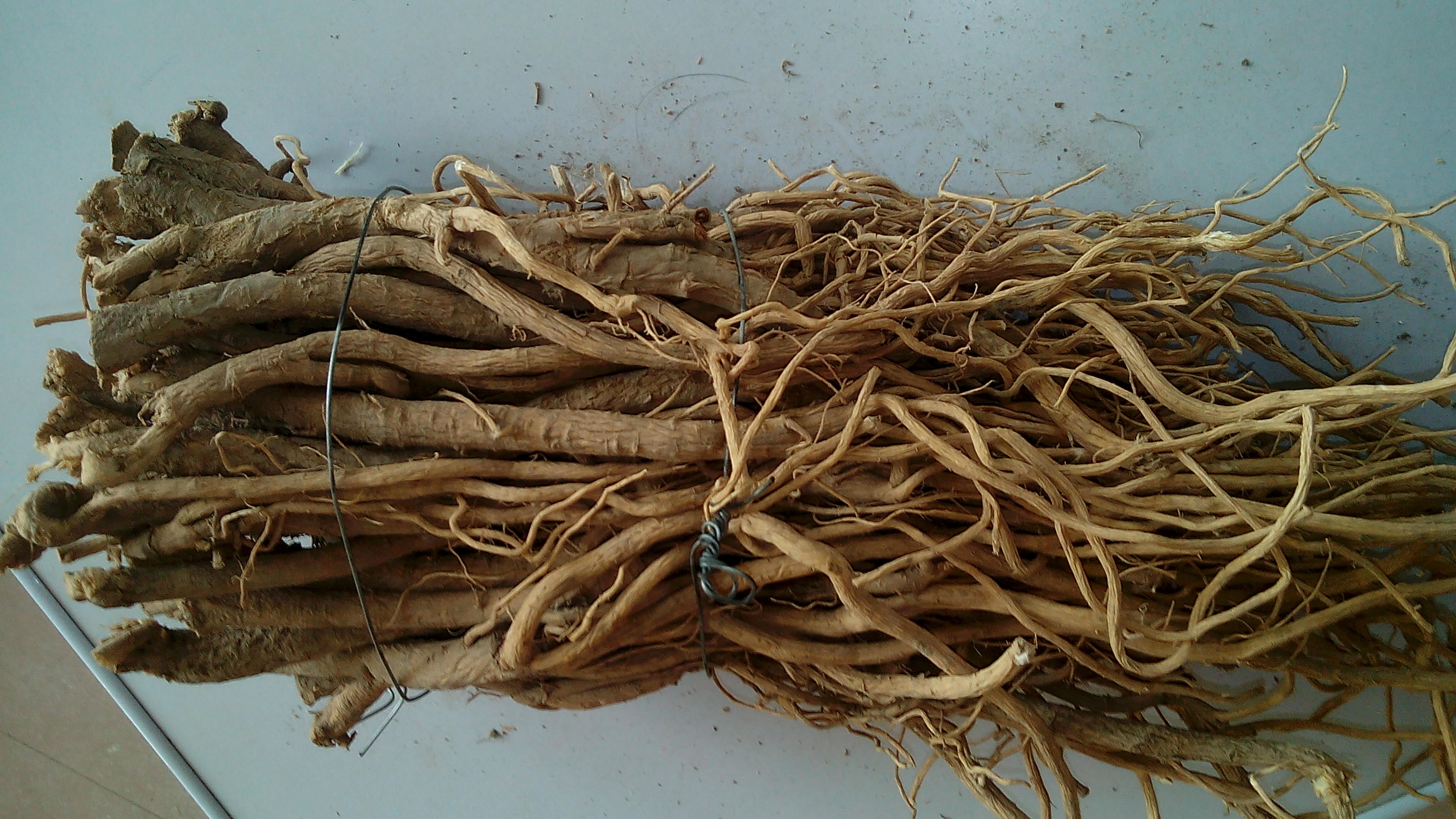 甘肃张掖市民乐县黄芪批发_石文喜供应_一亩田农业网