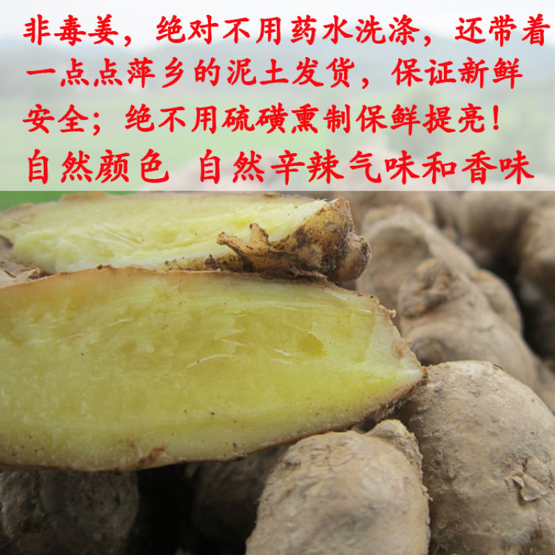 生姜
