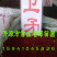 丝棉木种子