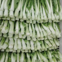 货源充足，白菜苔