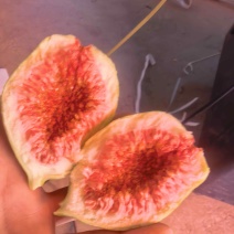 云南波姬红无花果空运直发