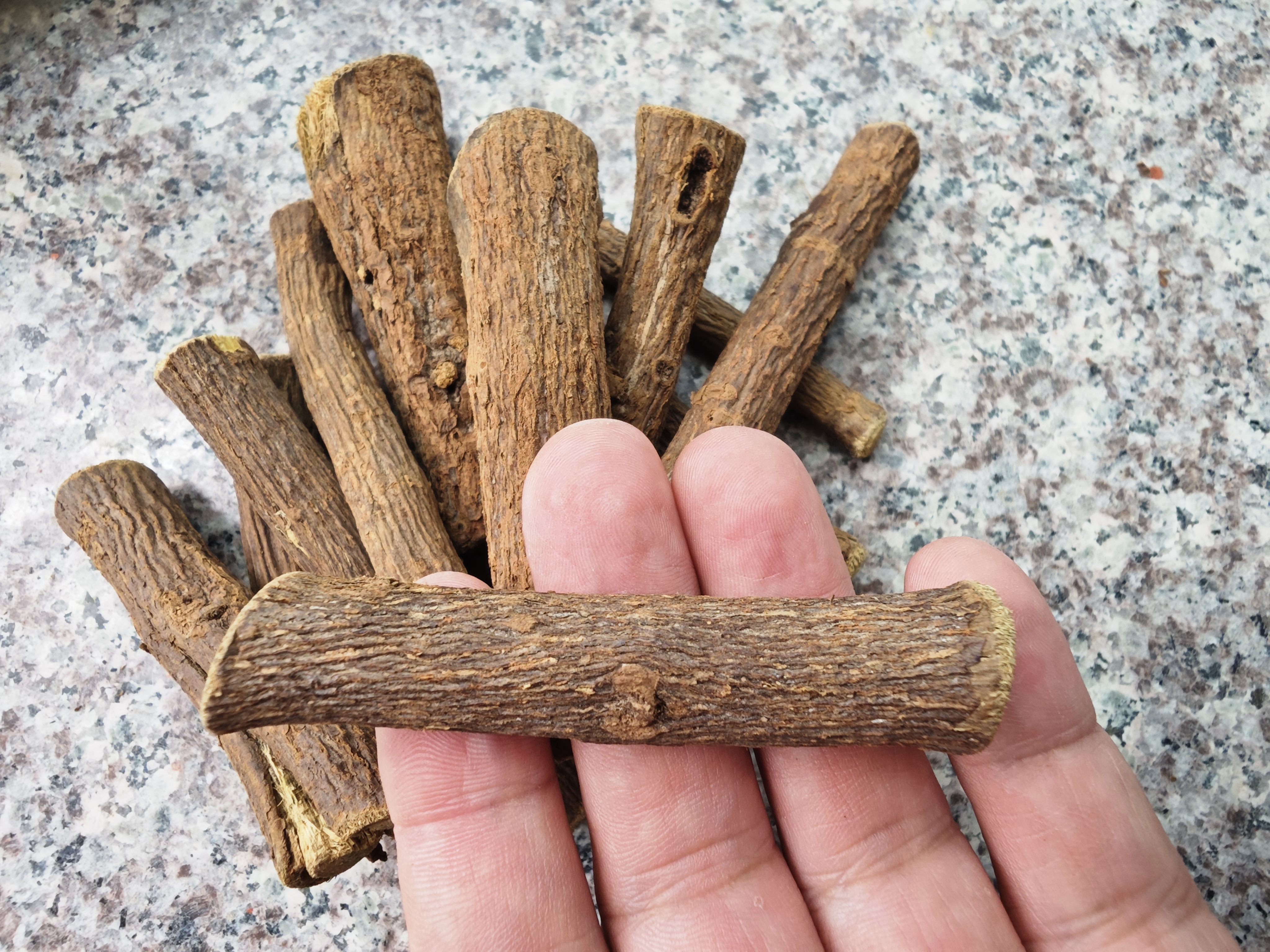 鱼腥草根炖汤示意图