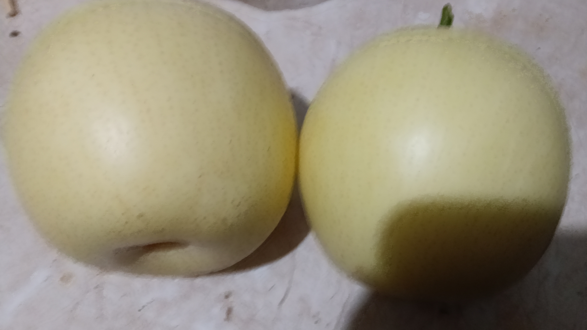 皇冠梨特写展示其果肉和果皮