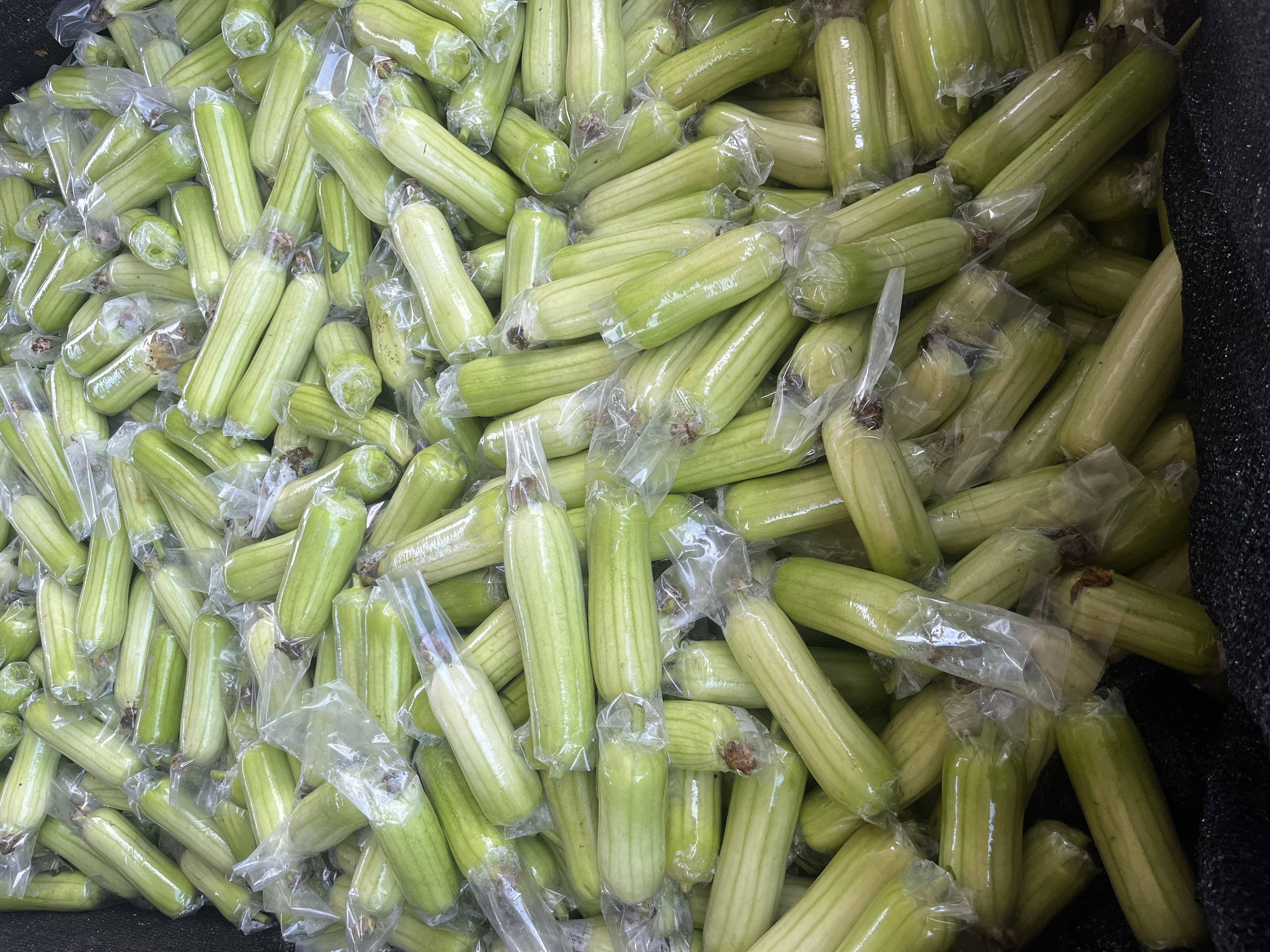 凉拌玉菇甜瓜丝成品图