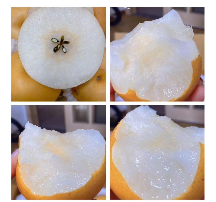 切开的秋月梨特写