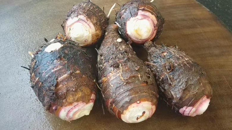 香芋切片展示其细腻质地