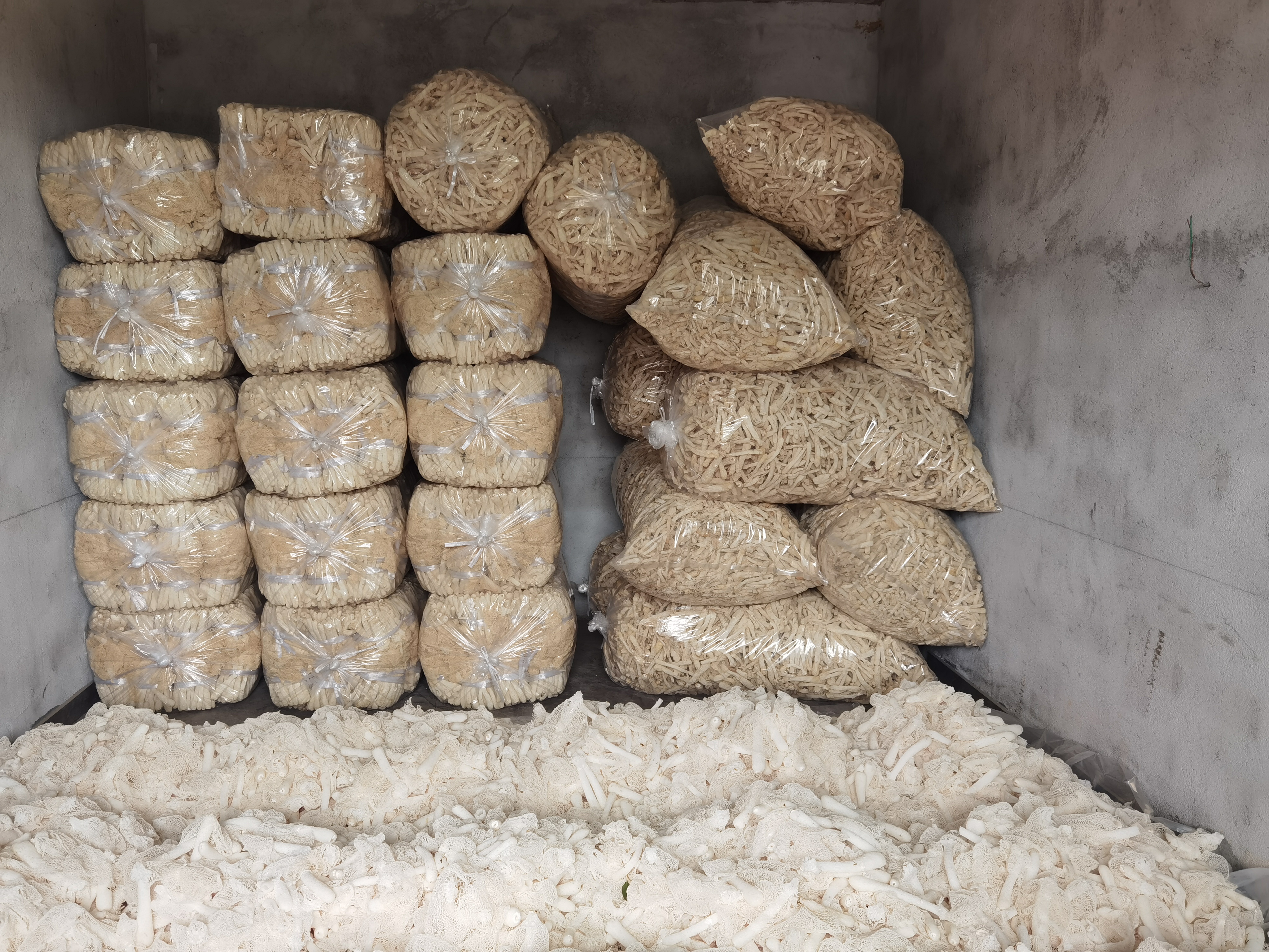 长裙竹荪与短裙竹荪产地分布图