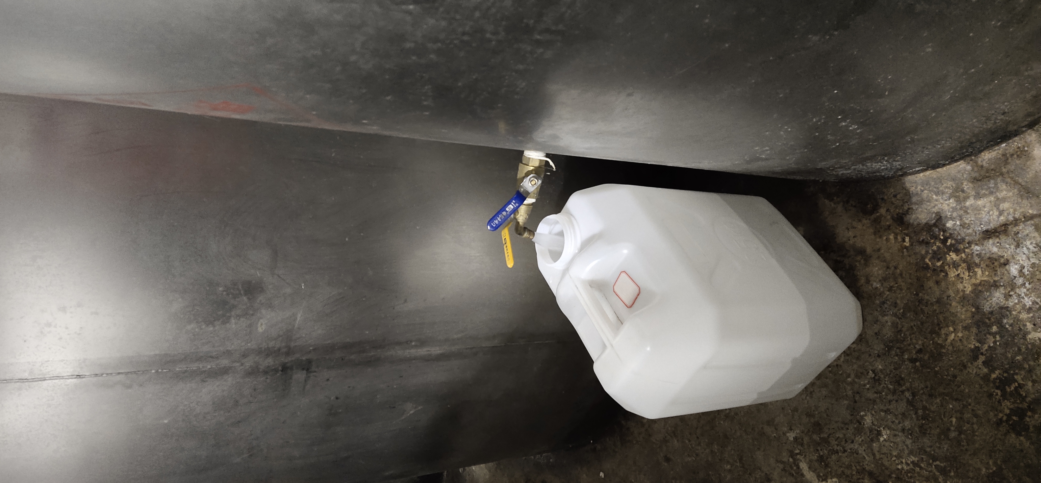 熟地黄泡酒图示