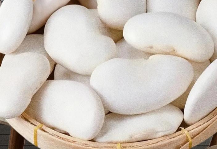 白扁豆实物图展示