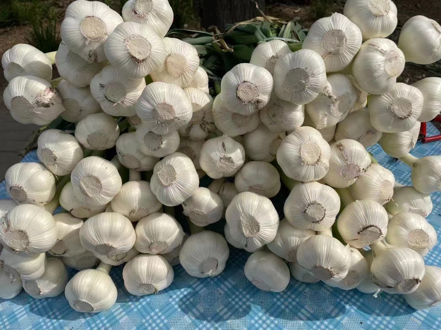 蒜薹和大虾的原材料展示