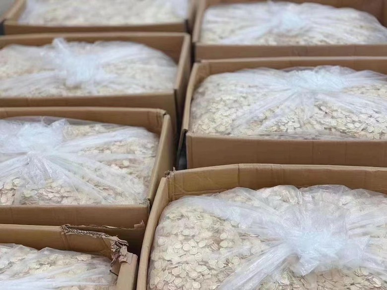 冷冻红极参在密封袋中整齐排列，表面覆盖薄冰层，放置于家用冰箱冷冻室隔层内