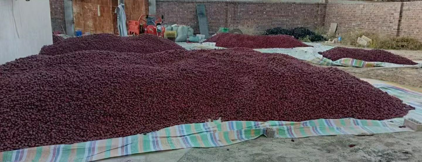 一个乡村集市的摊位上摆放着不同种类的红枣,包括圆形红枣、长条枣和深色肉皮枣,旁边有农户正在称重销售,背景有人流往来,展现真实交易场景 市场摊位上的多种红枣对比展示