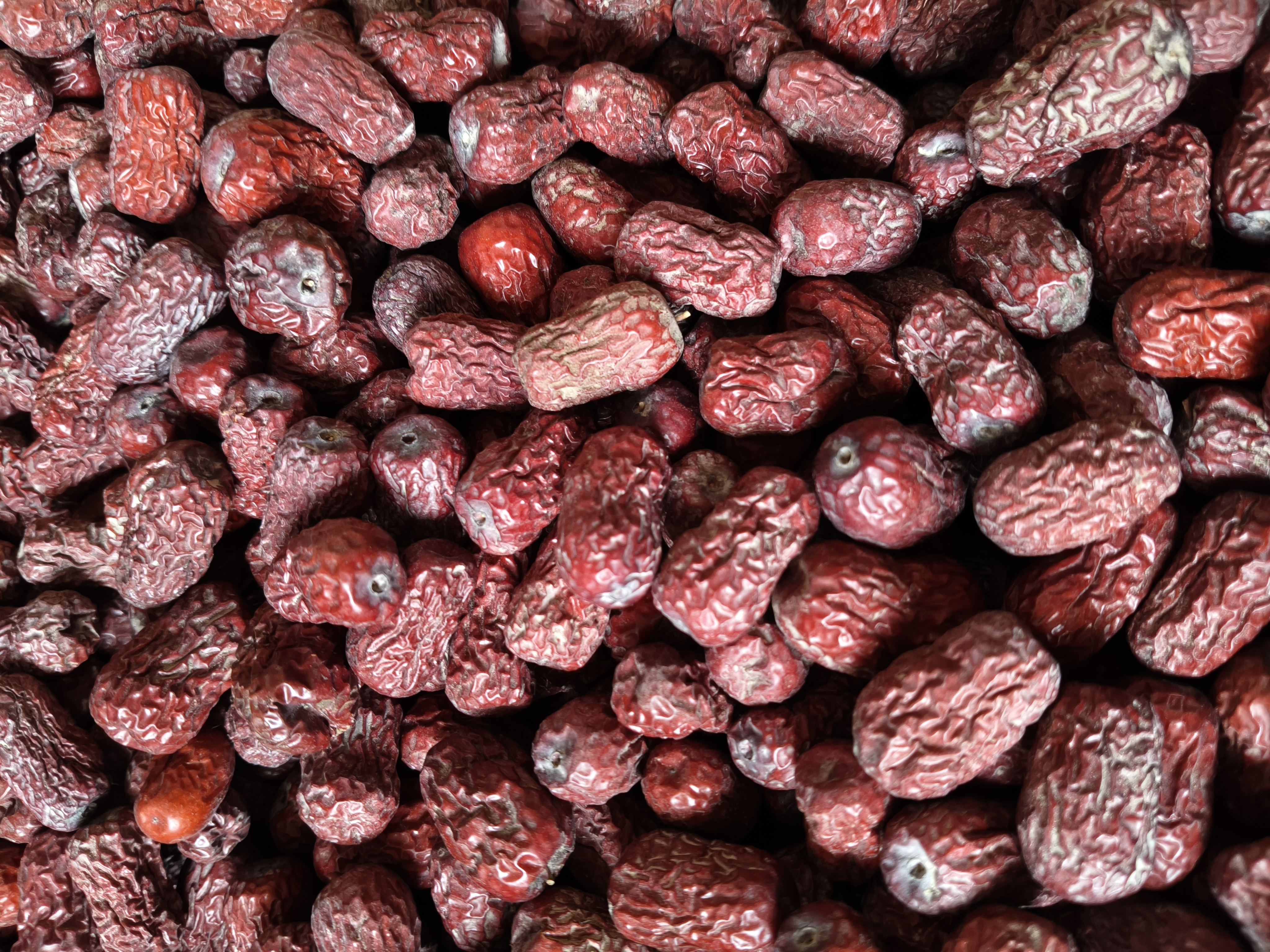 成熟期‘皮皮枣’挂果实景图,果实呈深红色,表皮光滑无裂纹,大小均匀,排列紧凑于枝条上;背景为新疆南疆典型沙壤地果园环境,可见滴灌带铺设 工业红枣去皮专用品种“皮皮枣”果实特写